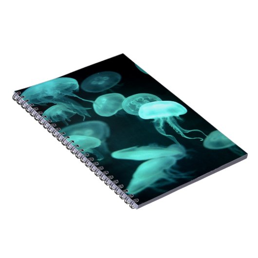 Qualleglühen Notizblock (Rechte Seite)