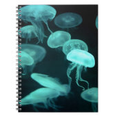 Qualleglühen Notizblock (Vorderseite)