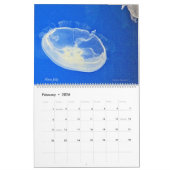 Quallen 2023 Kalender (Feb 2026)