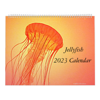 Quallen 2023 Kalender