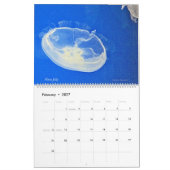 Quallen 2025 Kalender (Feb 2027)