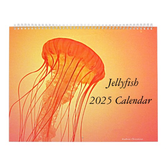 Quallen 2025 Kalender (Titelbild)
