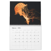 Quallen 2025 kalender (Feb 2026)
