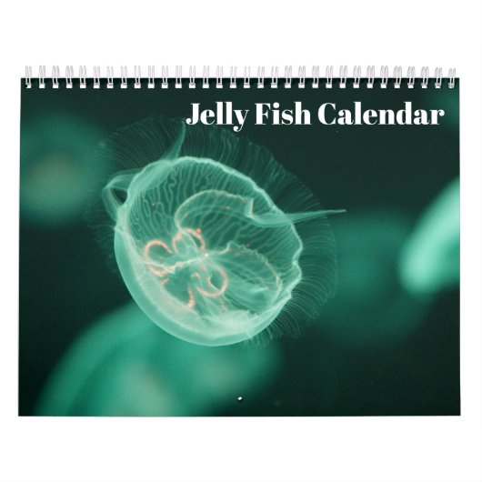 Quallen 2025 kalender (Titelbild)
