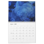 Quallen 2025 kalender (Mär 2027)