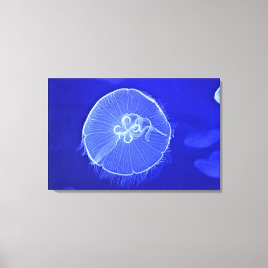 Quallen 2 leinwanddruck (Vorderseite)