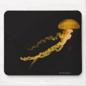 Quallen 2 mousepad (Vorne)