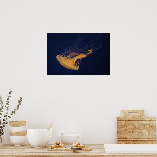 Quallen 2 poster (Küche)