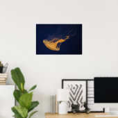 Quallen 2 poster (Heimbüro)