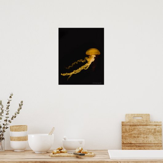 Quallen 2 poster (Küche)