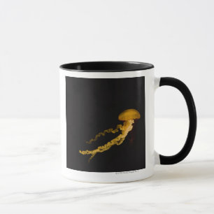 Quallen 2 tasse