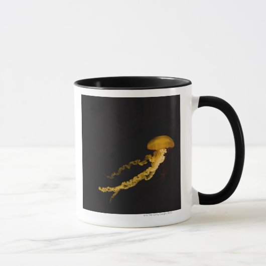 Quallen 2 tasse (Rechts)