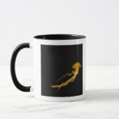 Quallen 2 tasse (Links)