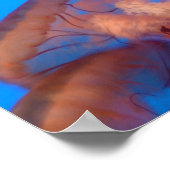 Quallen 4 poster (Ecke)