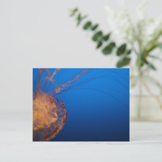 Quallen #5 postkarte (Stehend Vorderseite)