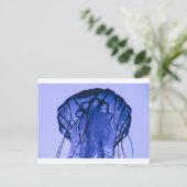 Quallen auf blau postkarte (Stehend Vorderseite)