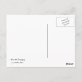 Quallen auf blau postkarte (Rückseite)
