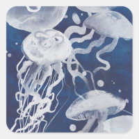 Quallen auf dem Gebiet der Marine