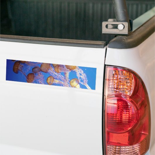 Quallen Autoaufkleber (Auf Lkw)