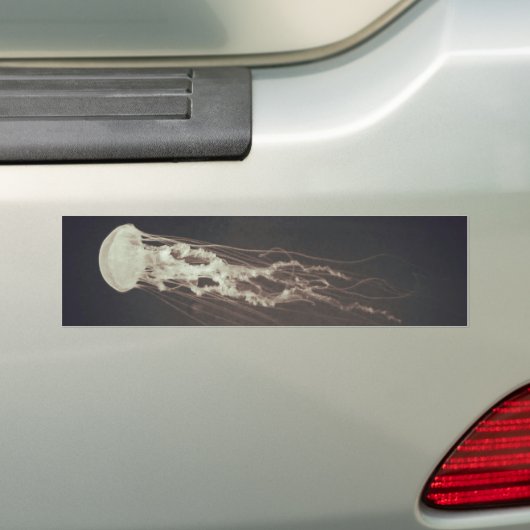 Quallen Autoaufkleber (Auf Auto)