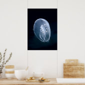 Quallen Bright Translucent Blue Portrait Poster (Küche)