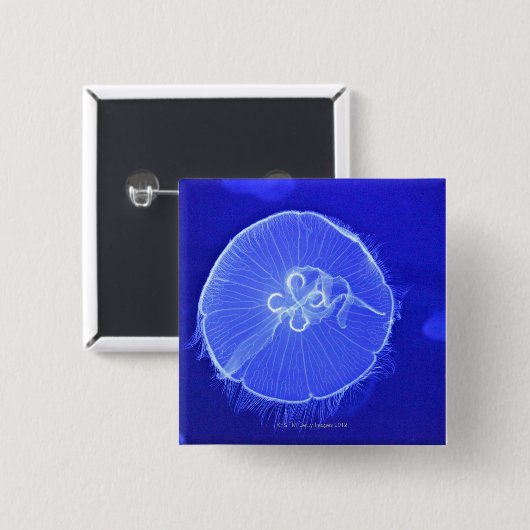 Quallen Button (Vorne & Hinten)