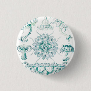 Quallen, Discomedusae von Ernst Haeckel Button