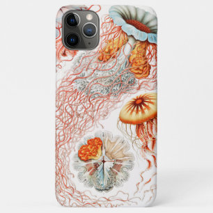 Quallen, Discomedusae von Ernst Haeckel Case-Mate iPhone Hülle