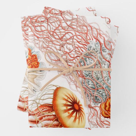 Quallen, Discomedusae von Ernst Haeckel Geschenkpapier Set (Beispiel)