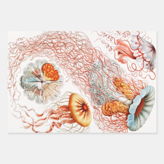 Quallen, Discomedusae von Ernst Haeckel Geschenkpapier Set (Vorderseite 3)