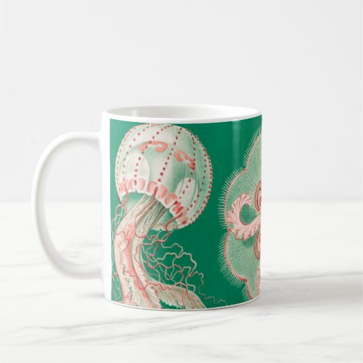 Quallen, Discomedusae von Ernst Haeckel Kaffeetasse (Links)