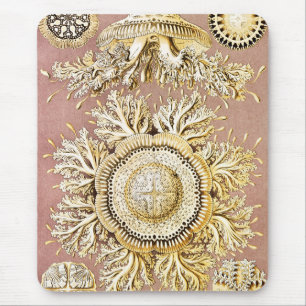 Quallen, Discomedusae von Ernst Haeckel Mousepad