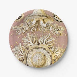 Quallen, Discomedusae von Ernst Haeckel Pappteller