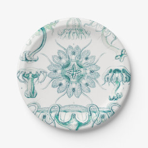 Quallen, Discomedusae von Ernst Haeckel Pappteller