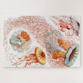 Quallen, Discomedusae von Ernst Haeckel Puzzle (Horizontal)