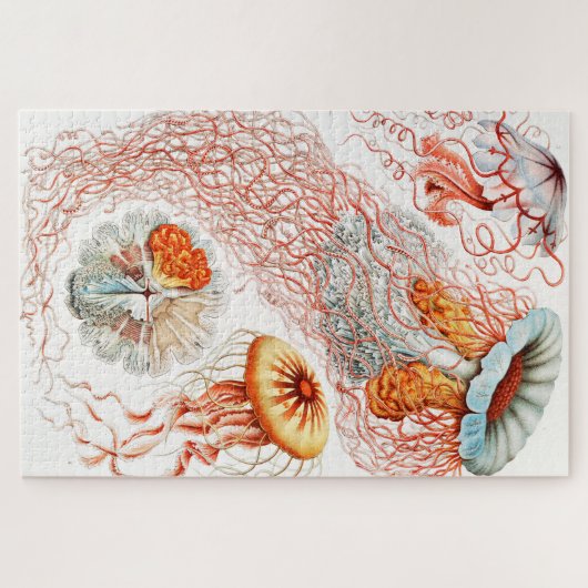 Quallen, Discomedusae von Ernst Haeckel Puzzle (Horizontal)