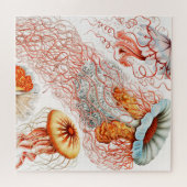 Quallen, Discomedusae von Ernst Haeckel Puzzle (Horizontal)