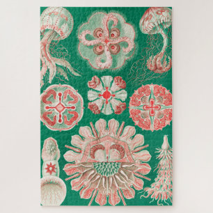 Quallen, Discomedusae von Ernst Haeckel Puzzle