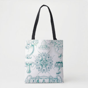 Quallen, Discomedusae von Ernst Haeckel Tasche