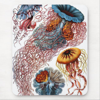 Quallen durch Ernst Haeckel Mousepad