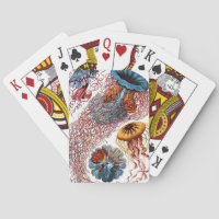 Quallen durch Ernst Haeckel