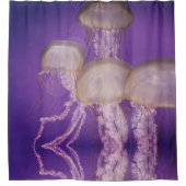 Quallen Duschvorhang (Vorderseite)