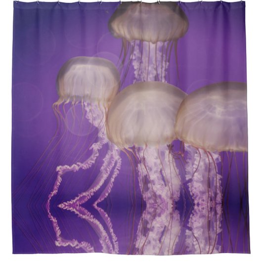 Quallen Duschvorhang (Vorderseite)