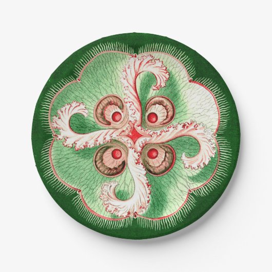 Quallen Ernst Haeckels Discomedusae (Aurelia) Pappteller (Vorderseite)