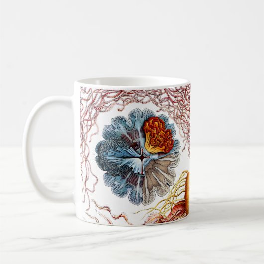 Quallen Ernst Haeckels Discomedusae Kaffeetasse (Links)