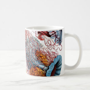 Quallen Ernst Haeckels Discomedusae Kaffeetasse