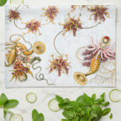 Quallen Ernst Haeckels Siphonophorae Küchentuch (Gefaltet)