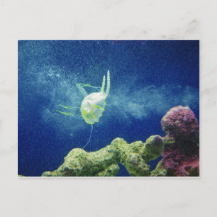 Quallen Fisch individuell anpassen Jubiläen Postkarte