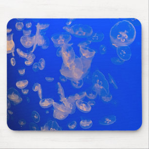 Quallen Foto Mousepad