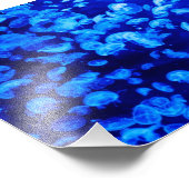 Quallen Fotodruck (Ecke)